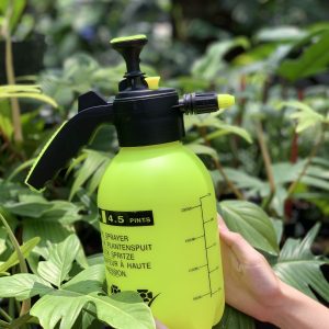 Bình tưới nước màu vàng