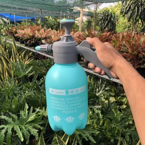 Bình tưới nước màu xanh