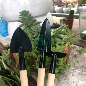Bộ dụng cụ làm vườn mini 3 món