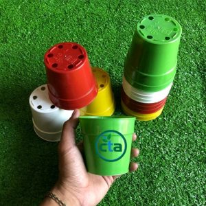 Chậu nhựa cứng nhiều màu