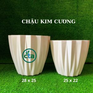 Chậu nhựa kim cương