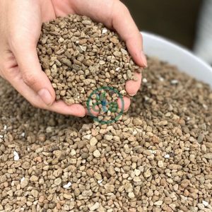 Đá pumice (size nhỏ)