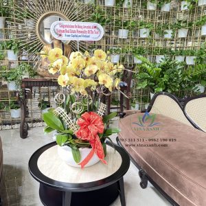 Lan hồ điệp 001