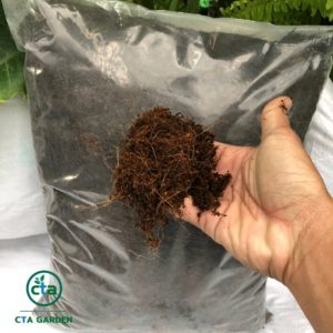 Xơ dừa đã xử lý