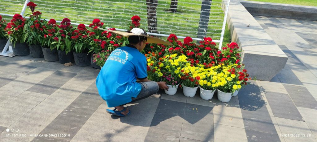 Dịch vụ thiết kế thi công cảnh quan tại TP HCM